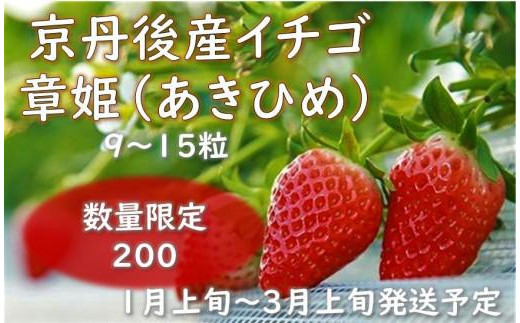 先行予約／数量限定200】京丹後産 イチゴ 章姫（あきひめ）（9～15粒入