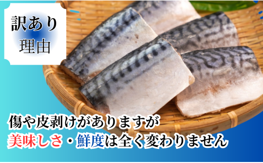 訳あり 塩サバ 腹骨取り 切身 3.5kg 冷凍 おかず 鯖 さば 厳選 添加物