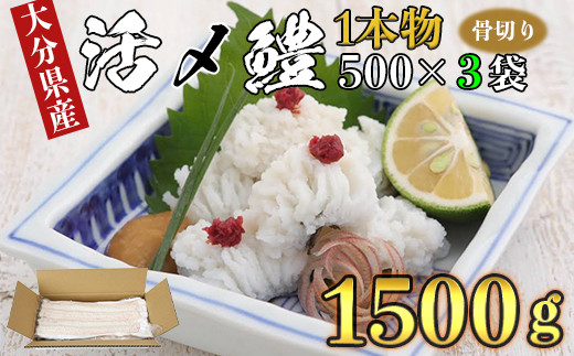 大分県産活じめ鱧（はも）1本物 骨切り切身 たっぷり 1500g 鱧しゃぶ 湯引き 鱧鍋 鱧しゃぶセット 骨切り 鱧すき 天ぷら 鱧寿司 フライ 鱧ちり  鱧皮 天然鱧 冷凍 ＜108-007_5＞ - 大分県杵築市｜ふるさとチョイス - ふるさと納税サイト