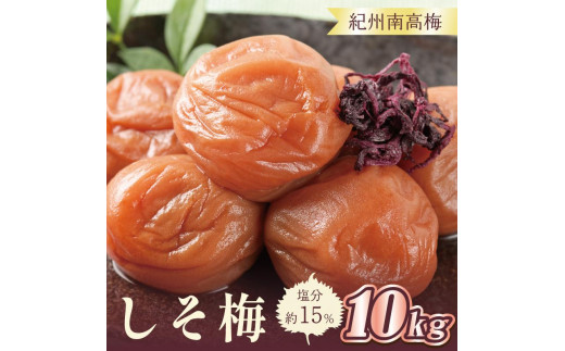 和歌山県産[紀州南高梅]10kg☆大粒多め‼️最高級