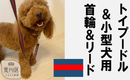 トイプードル及び小型犬用カラー（首輪）＆リード(カラー：紺・赤・紺)