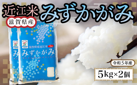 近江米 みずかがみ 白米１０㎏ 令和6年産 BD08 - 滋賀県愛荘町｜ふるさとチョイス - ふるさと納税サイト