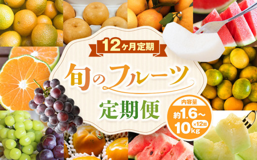 旬のフルーツ 定期便 12ヶ月 - 熊本県熊本市｜ふるさとチョイス