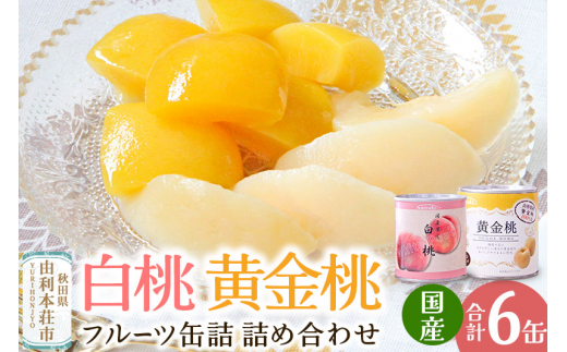 Sanuki フルーツ缶詰 詰め合わせ 6缶セット(黄金桃、白桃) - 秋田県