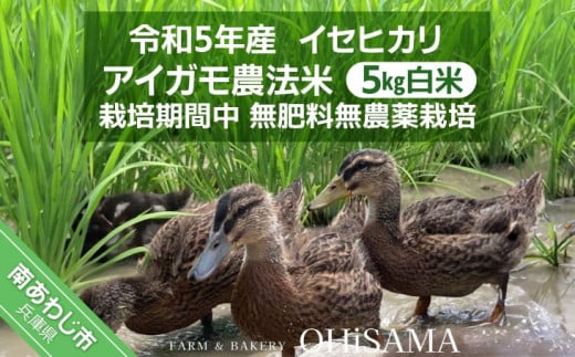 令和5年産 イセヒカリ ５kg 白米〈栽培期間中農薬不使用 あいがも農法米〉 - 兵庫県南あわじ市｜ふるさとチョイス - ふるさと納税サイト