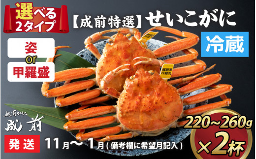 美味しさ直送！【成前特選】 せいこがに（220g～260g）×2杯【11月～1月発送】 [E-028045] 福井県福井市｜ふるさとチョイス  ふるさと納税サイト