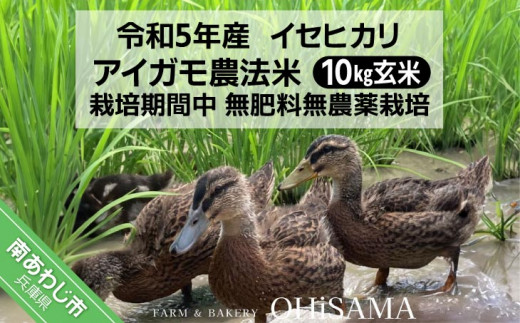 令和5年産 イセヒカリ 10kg（5kg×2） 玄米〈栽培期間中農薬不使用 あいがも農法米〉 - 兵庫県南あわじ市｜ふるさとチョイス -  ふるさと納税サイト