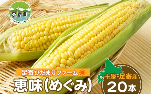 北海道 とうもろこし 恵味 20本 トウモロコシ とうきび コーン もろこし イエローコーン 旬 甘い 生食 野菜 農作物 野菜 十勝  足寄ひだまりファーム 送料無料