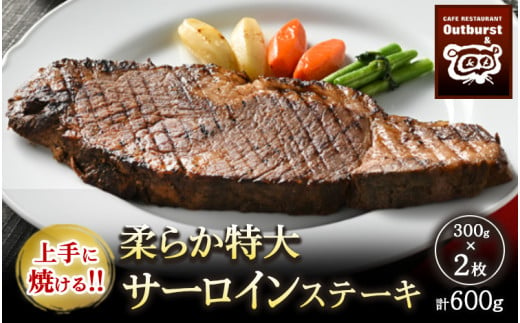 上手に焼ける！！柔らか特大サーロインステーキ 300g×2枚 計600g ｜ 国産 牛肉 肉 お肉 ステーキ 冷凍 栃木県 那須町 〔P-137〕  ※着日指定不可 - 栃木県那須町｜ふるさとチョイス - ふるさと納税サイト