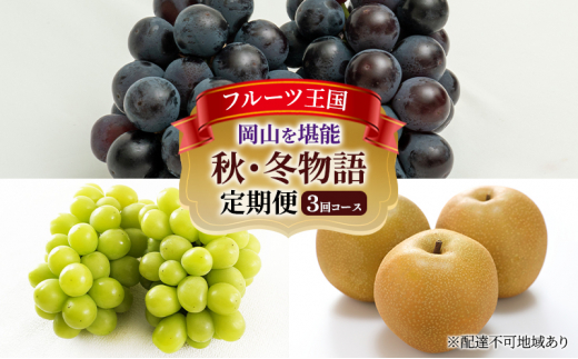 yRsz[5615-0486]Ԃǂ   2026N s\ t[c R\  3R[X  Ԃǂ  Ȃ RY Y ʕ Zbg Mtg