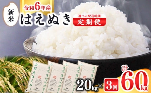 令和6年産 定期便】《選べる配送時期》はえぬき計60kg！お米 定期便（20kg×3回）！清流寒河江川育ち 山形産はえぬき 2024年産  076-C-JA014-2024 - 山形県寒河江市｜ふるさとチョイス - ふるさと納税サイト