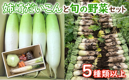 姉崎だいこんと旬の野菜セット　5種類以上 [№5689-0687]