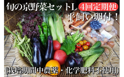 4回定期便】＜アスカ有機農園＞旬の京野菜セットL（平飼い卵付）＊毎月お届け全4回 《野菜定期便 野菜詰め合わせ 野菜セット 京野菜 旬の野菜 新鮮野菜  有機野菜 無農薬野菜 卵》 - 京都府亀岡市｜ふるさとチョイス - ふるさと納税サイト