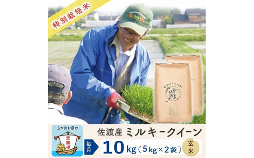 【3か月定期便】佐渡島産ミルキークイーン 玄米10Kg 令和5年産 特別栽培米