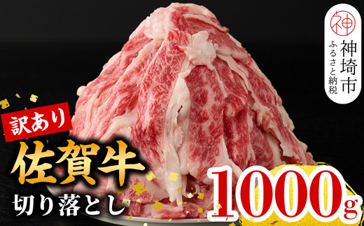 yꌧ_szy11zy󂠂zꋍ؂藎Ƃ1,000gy Ⓚ  󂠂 A 킯  lC KiO s ꋍ A5 A4 јa Y a5 a4  ꌧ _s 500g × 2pbN 