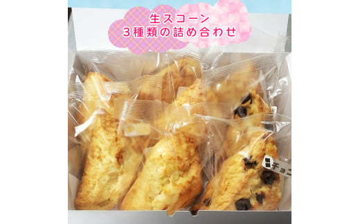 生スコーン 3種類の詰め合わせ すずらんベーカリー スイーツ 焼き菓子 手作り お菓子 おやつ ギフト [0567]