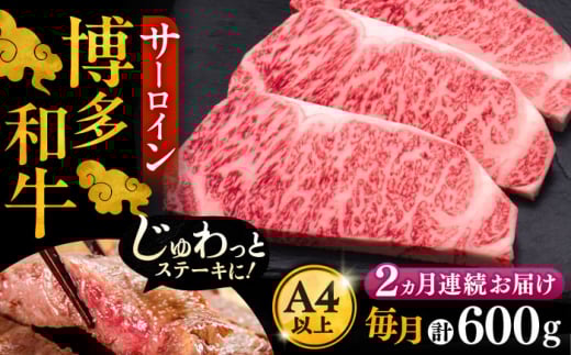 yLOszyS2ցza T[C Xe[L 200g × 3sLOstyvcXz [VBK008]