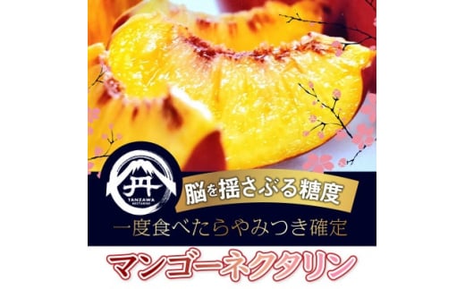 yRRsz]hԂ鈳|Ix}S[lN^݂s[^[o2026N8{蔭y1468756z