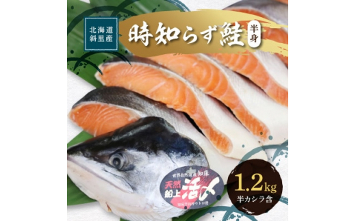 ふるさと納税「鮭 3kg」の人気返礼品・お礼品比較 - 価格.com