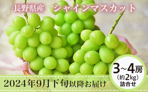 J0822 長野市産シャインマスカット3～4房（約2kg）【2024年9月下旬以降の出荷分】（本気農場いけだ）