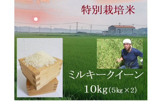 【４月発送】特別栽培米 ミルキークイーン 10㎏ | 安心 精米 もちもちした食感 こだわりの農法　TC‐0404