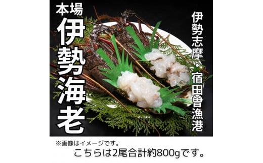 冷凍） 伊勢志摩産 活〆伊勢海老 2尾 姿造り 生食用 （L） ／ 丸池 伊勢えび イセエビ 特産 三重県 南伊勢町 伊勢志摩 - 三重県南伊勢町｜ふるさとチョイス  - ふるさと納税サイト