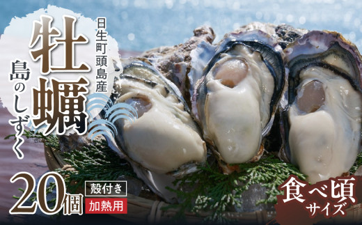 【厳選！】日生頭島殻付牡蠣「島のしずく」（加熱用・食べ頃