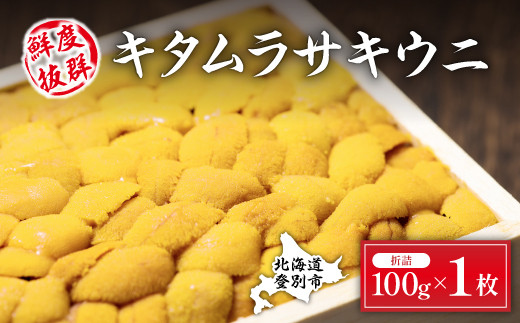 極上！北海道産キタムラサキウニ折詰100g うに ウニ 生ウニ
