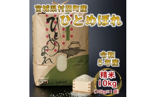 新米令和3年産東北194号(ささ結)玄米30Kg - 食品