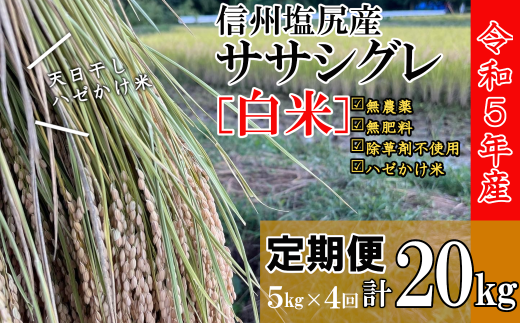 令和5年産】定期便 信州塩尻産ササシグレ・白米20kg（5kg×4回