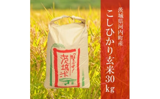 令和5年産]茨城県河内町産コシヒカリ玄米30kg【1252387】 - 茨城県河内