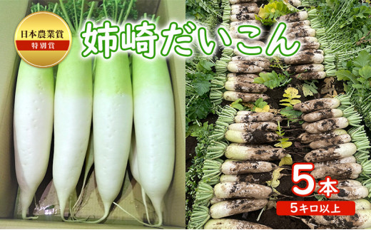 大根　　1000キロ 日本農業賞の特別賞 姉崎大根 5本 5キロ以上 [№5689-0695] - 千葉県市