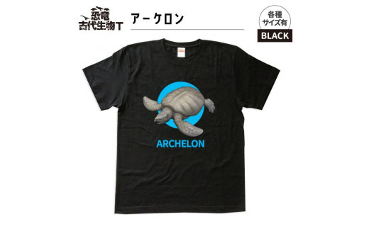 ふるさと納税 服 福島県 いわき市 恐竜・古代生物Tシャツ　アーケロン　サイズXXL（レギュラー） ブラック　サイズXXL sd1_fa9117bd037aaa4ef3cbfde7da