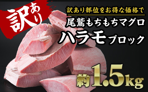 訳あり】尾鷲もちもちキハダマグロ ハラモ詰め合わせ 大満足 1.5kg ブロック 冷凍 天然マグロ きはだまぐろ キハダマグロ 水揚げ まぐろ刺身  まぐろ丼 漬けマグロ 天然 人気 おすすめ ハマモ 尾鷲もちもちキハダマグロ 超低温冷凍技術 アルコールスラリー製法 大容量 三重 ...