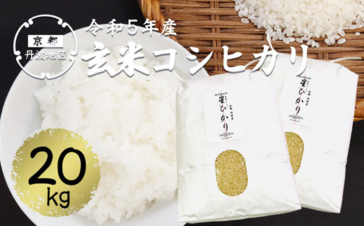 お米　コシヒカリ　玄米　２０kg 令和５年丹波産 新米