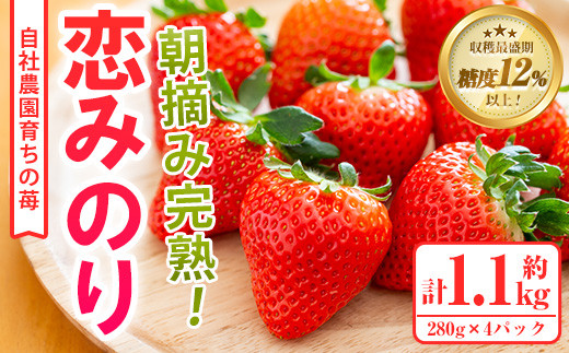 農園ガーデン空産いちご 恋みのりセット(計1.1kg・280g×4P)国産