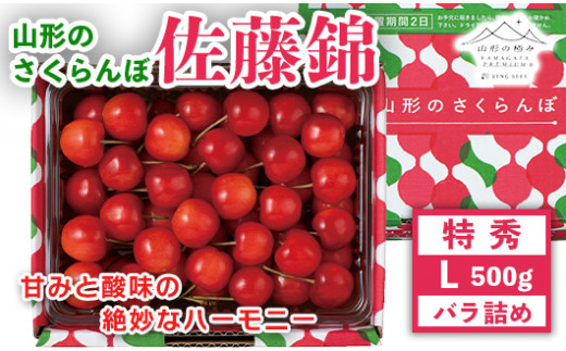 FYN9-912 《先行予約》贈答用 2024年 山形県産 さくらんぼ 佐藤錦 特秀 L バラ詰 500g 果物 くだもの フルーツ 夏果物  サクランボ チェリー 高級 ギフト 産地直送 山形県 西川町 月山