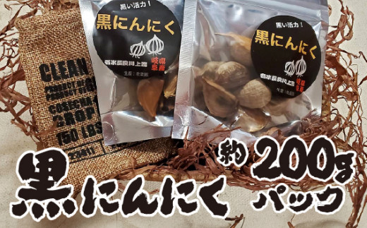 y򕌌Rsz ɂɂ [No.421] ^ jjN jjN IWi 򕌌