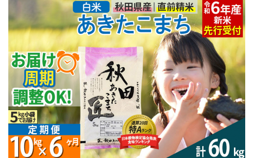 白米】＜令和6年産 新米予約＞ 《定期便6ヶ月》秋田県産 あきたこまち