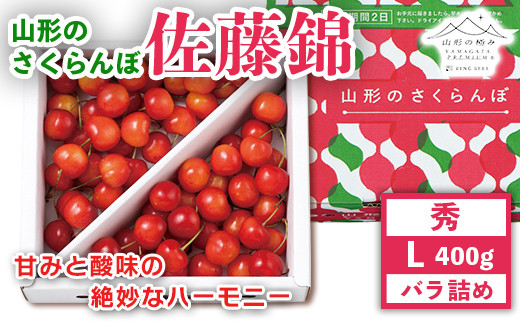 FYN9-909 《先行予約》 2024年 山形県産 さくらんぼ 佐藤錦 秀 L バラ詰 400g 果物 くだもの フルーツ 夏果物 サクランボ  チェリー 高級 ギフト 産地直送 山形県 西川町 月山