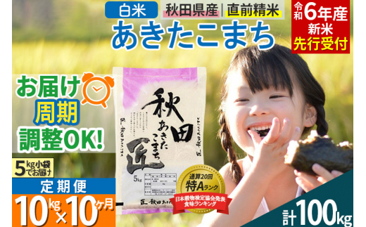 白米】＜令和6年産 新米予約＞ 《定期便10ヶ月》秋田県産 あきたこまち