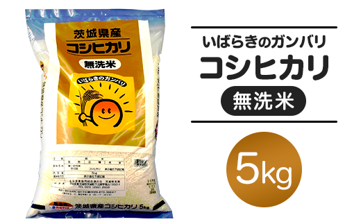 お米まとめ売り20kg群馬県産茨城県産千葉県産無洗米コシヒカリ5kg×4