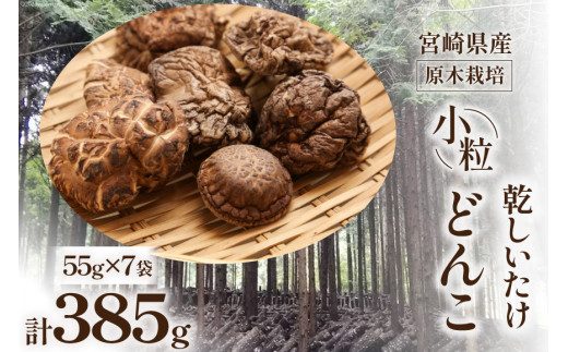 宮崎県産 原木栽培 乾しいたけ 小粒どんこ(55ｇ×7袋)計385g [本吉 宮崎県 日向市 452060110] - 宮崎県日向市｜ふるさとチョイス  - ふるさと納税サイト