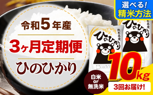 2024年3月先行予約】熊本県 御船町 掘りたて たけのこ 2kg タケノコ