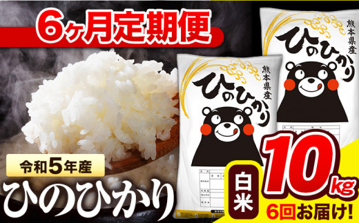 令和5年産 ひのひかり 【6ヶ月定期便】 白米 《お申込み月の翌月から出荷開始》 10kg (5kg×2袋) 計6回お届け 熊本県産 単一原料米 ひの  熊本県 氷川町