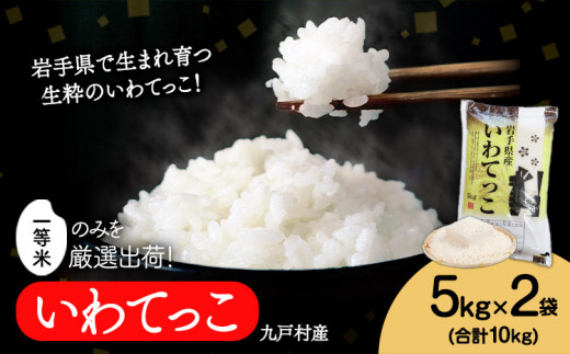 米 いわてっこ 10kg《30日以内に出荷予定(土日祝除く)》 岩手県 九戸村 一等米 精米 白米 お米 - 岩手県九戸村｜ふるさとチョイス -  ふるさと納税サイト