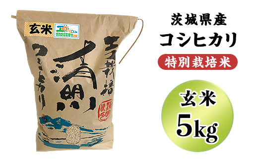 20-20茨城県産コシヒカリ特別栽培米5kg（玄米）【大地のめぐみ】 - 茨城県阿見町｜ふるさとチョイス - ふるさと納税サイト