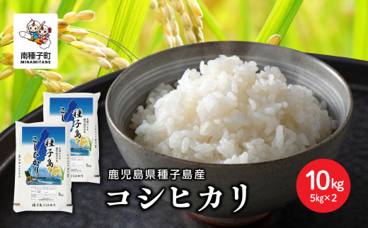 【鹿児島県南種子町】《令和7年産米》 新米 種子島産コシヒカリ 10kg 新米 米 お米 こめ コメ 精米 白米 コシヒカリ こしひかり 食品 グルメ お取り寄せ おすそわけ 人気 おすすめ ギフト 南種