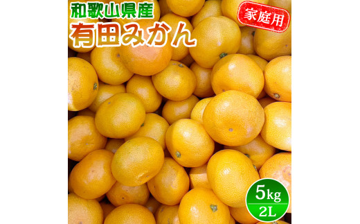 家庭用 有田みかん 2Lサイズ 5kg【2023年10月上旬～2024年1月下旬頃に順次発送予定】/ みかん フルーツ 果物 くだもの 有田みかん  蜜柑 柑橘