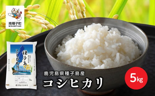 《令和6年産米》 新米 種子島産コシヒカリ 5kg 新米 米 お米 こめ コメ 精米 白米 コシヒカリ こしひかり 食品 グルメ お取り寄せ  おすそわけ 人気 おすすめ ギフト 南種子町 鹿児島 かごしま 【有限会社新栄物産】